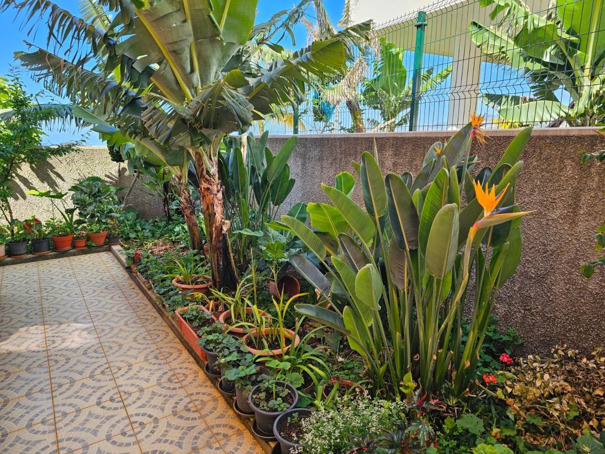 Casa De Feria Do Livramento Villa Funchal  Eksteriør bilde