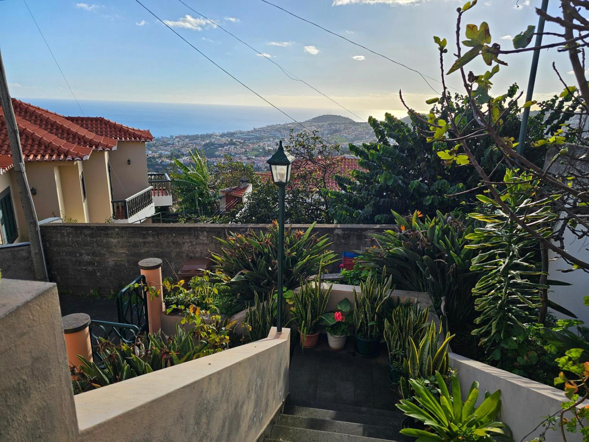 Casa De Feria Do Livramento Villa Funchal  Eksteriør bilde